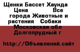 Щенки Бассет Хаунда  › Цена ­ 25 000 - Все города Животные и растения » Собаки   . Московская обл.,Долгопрудный г.